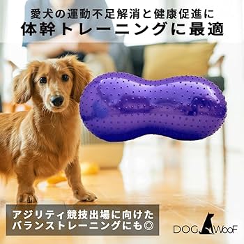 犬　バランスボーン　バランスボール　空気入れ付き 楽天市場】【ランキング1位！】犬用バランスボール アプリア